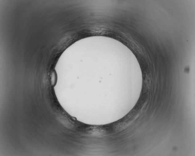 X0000116790601201001151103