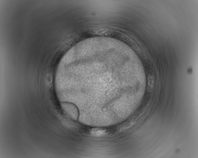X0000116790602201001151103