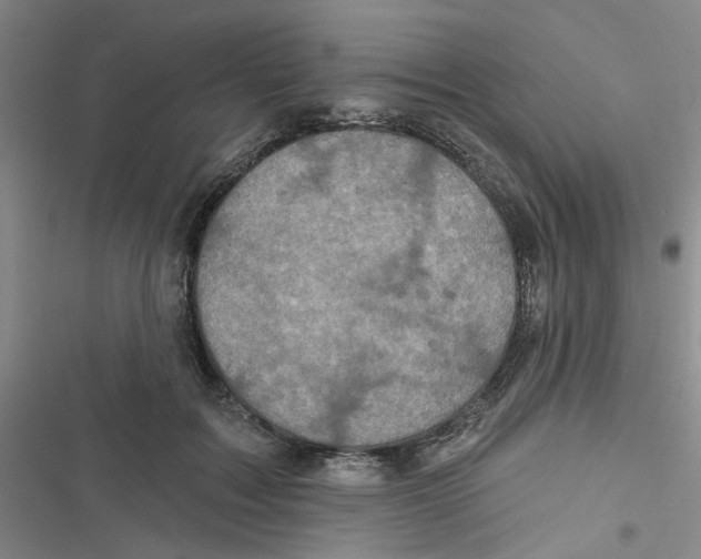 X0000116790603201001151103