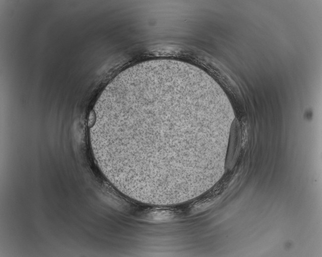 X0000116790604201001151103