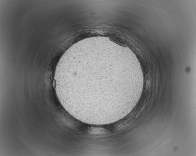 X0000116790605201001151103