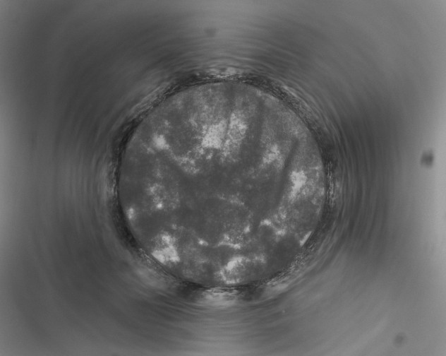X0000116790606201001151103
