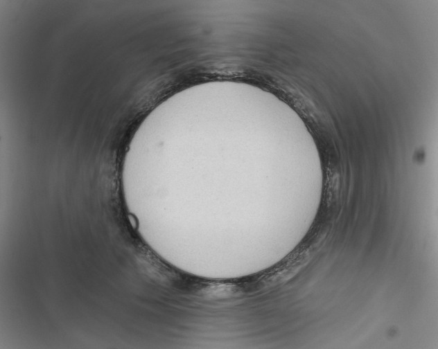 X0000116790609201001151103