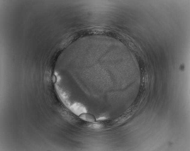 X0000116790610201001151103