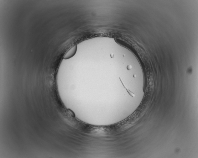 X0000116790611201001151103