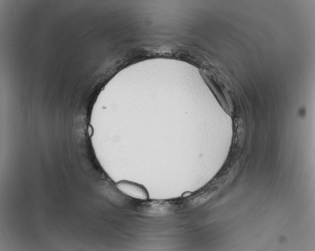 X0000116790612201001151103