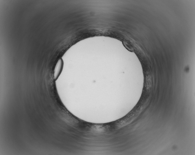 X0000116790613201001151103