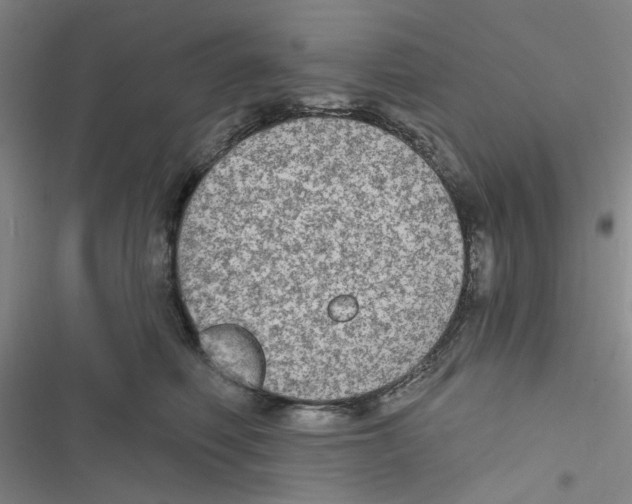 X0000116790614201001151103