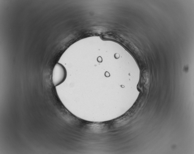 X0000116790615201001151103