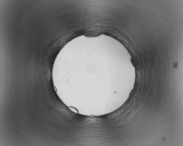 X0000116790617201001151103