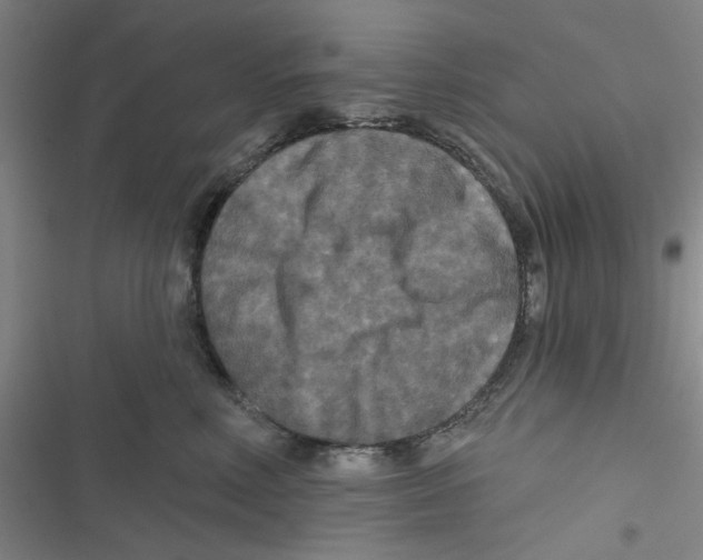 X0000116790618201001151103