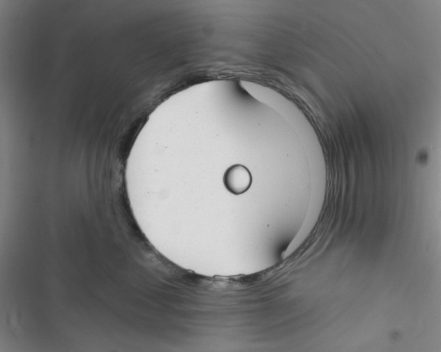 X0000116790621201001151103