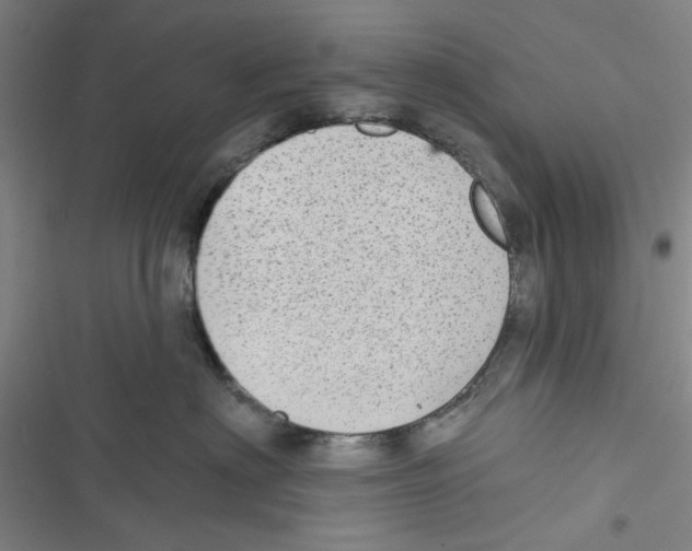 X0000116790622201001151103