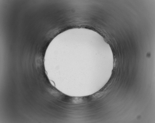 X0000116790623201001151103