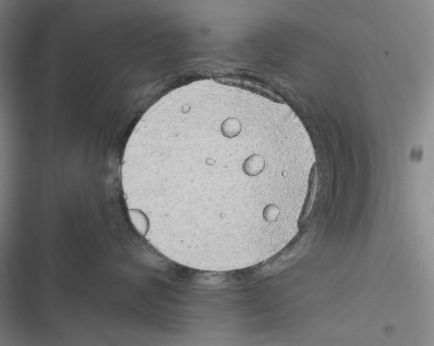 X0000116790624201001151103