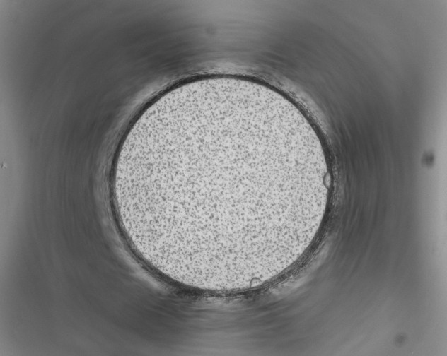 X0000116790625201001151102