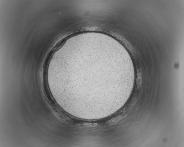 X0000116790626201001151102