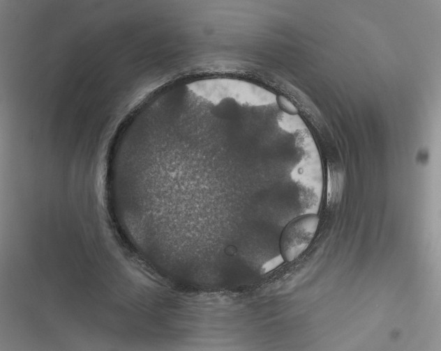 X0000116790627201001151102