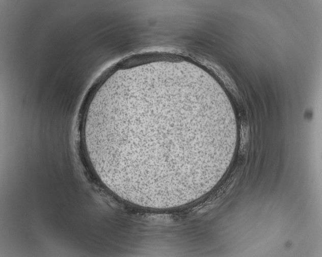 X0000116790628201001151102