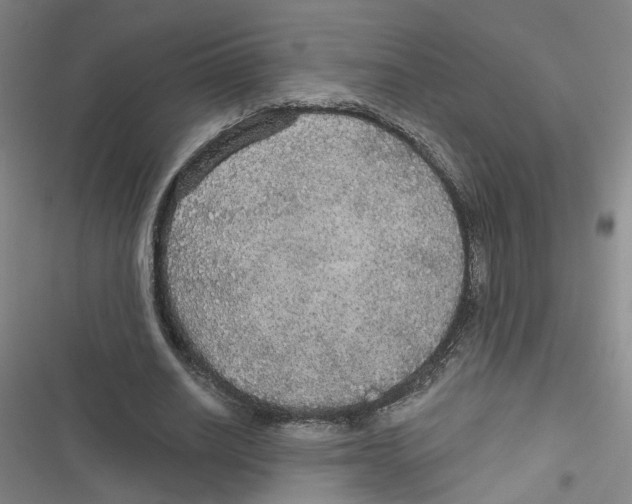 X0000116790630201001151102