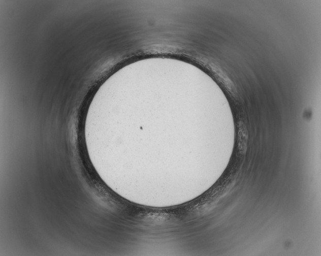 X0000116790631201001151102