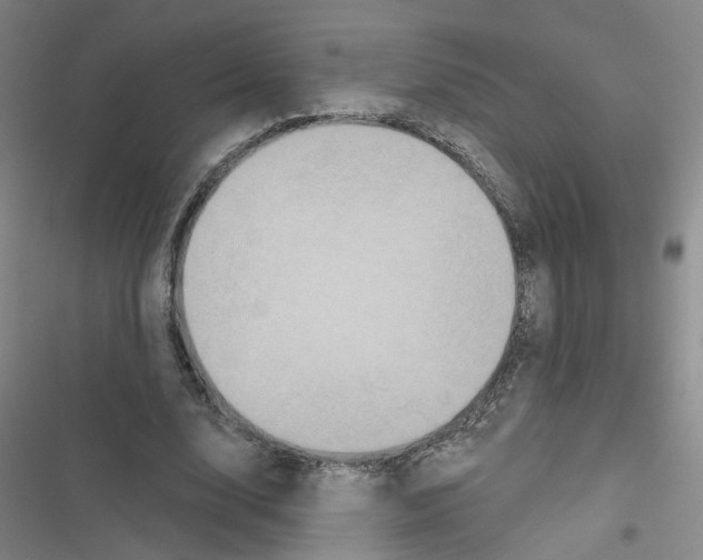 X0000116790632201001151102