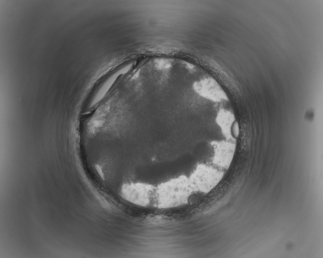 X0000116790634201001151102