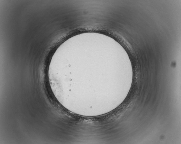 X0000116790635201001151102