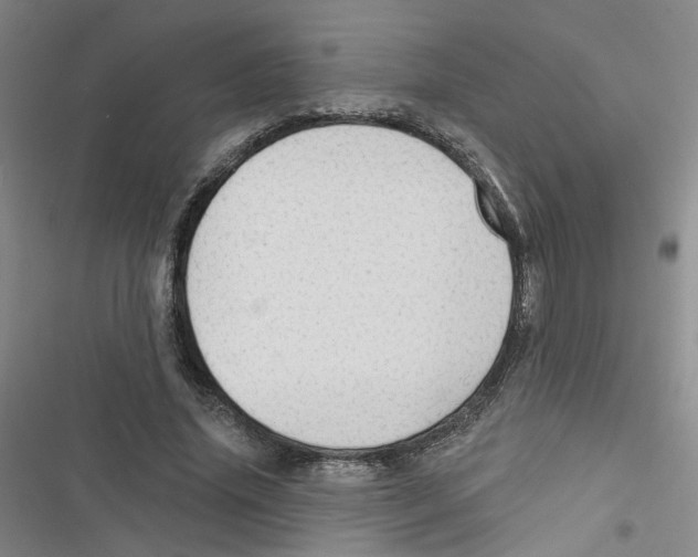 X0000116790636201001151102