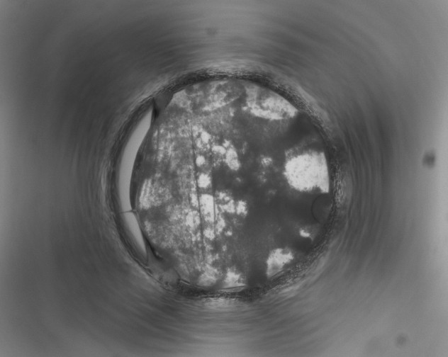 X0000116790637201001151102