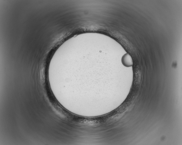 X0000116790638201001151102