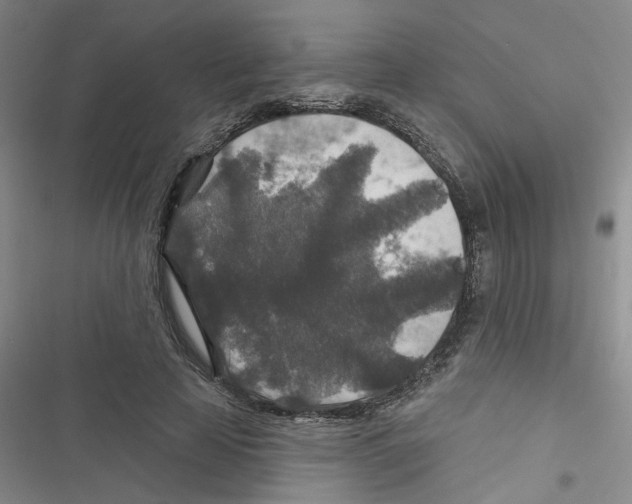 X0000116790641201001151102
