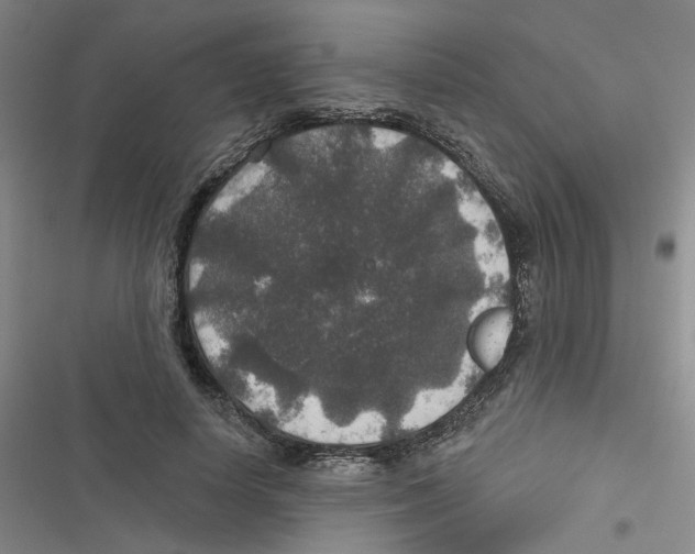 X0000116790642201001151102