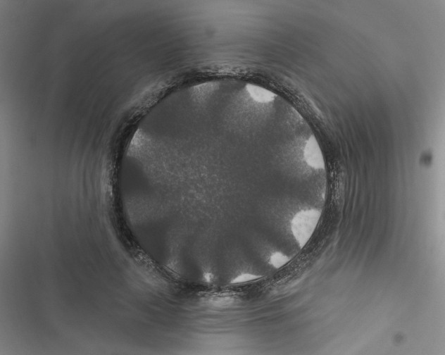 X0000116790643201001151102