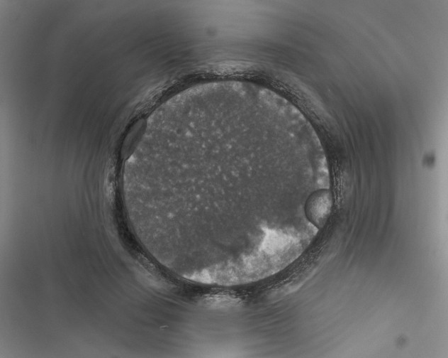 X0000116790644201001151102