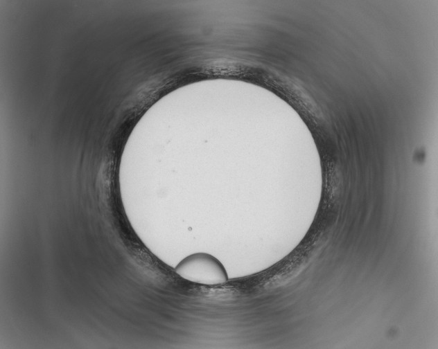 X0000116790645201001151102