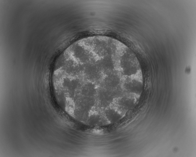 X0000116790647201001151102