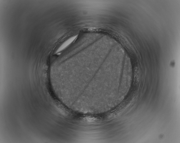 X0000116790650201001151102