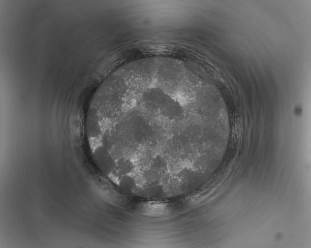 X0000116790651201001151102