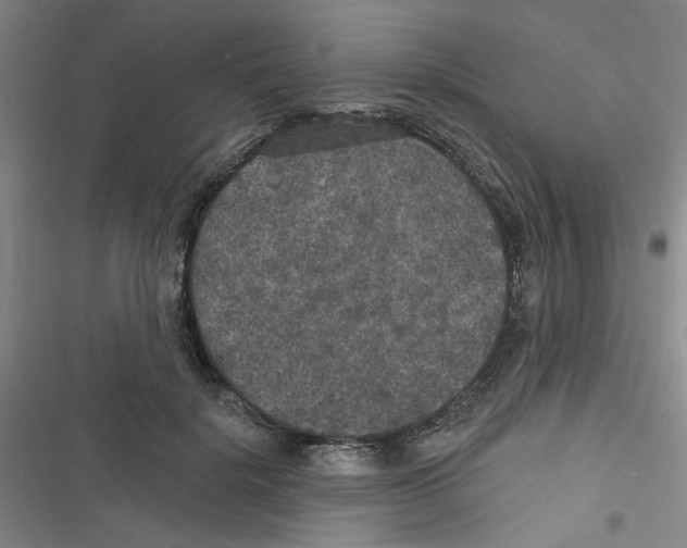 X0000116790652201001151102