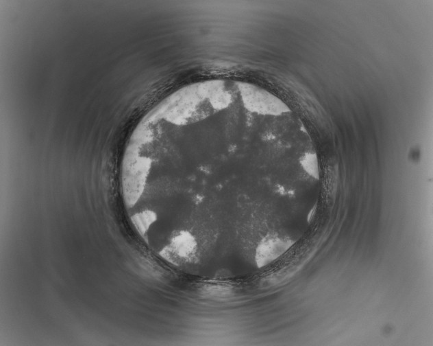 X0000116790653201001151102
