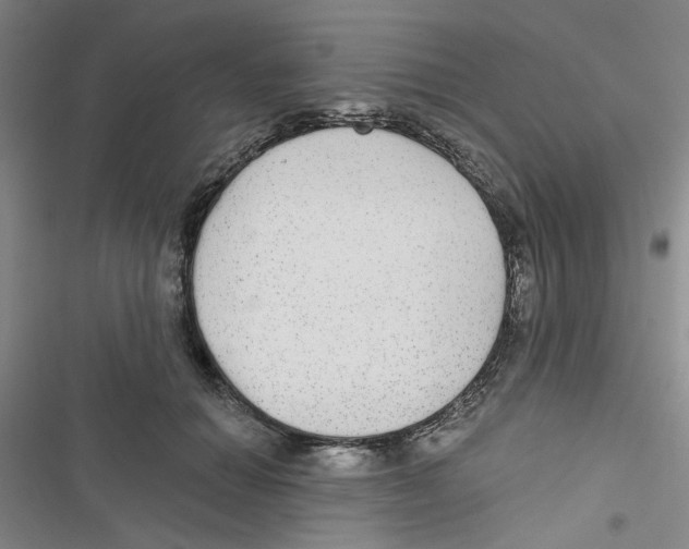 X0000116790654201001151102