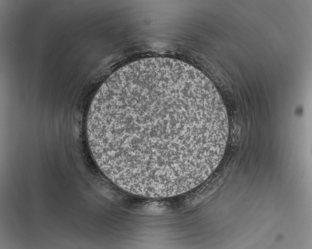 X0000116790656201001151102