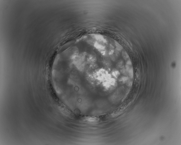 X0000116790659201001151102