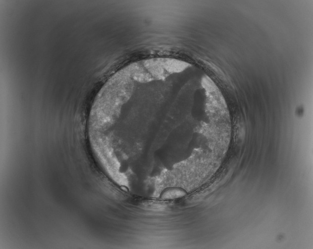 X0000116790661201001151103