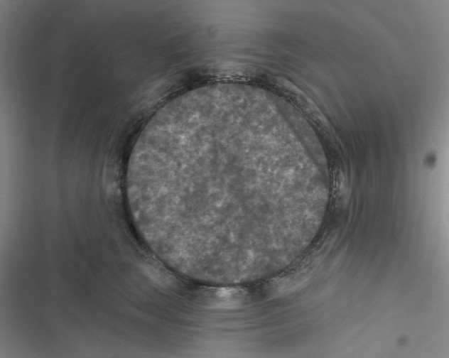 X0000116790663201001151103