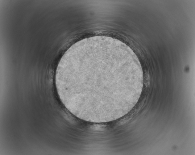 X0000116790664201001151103