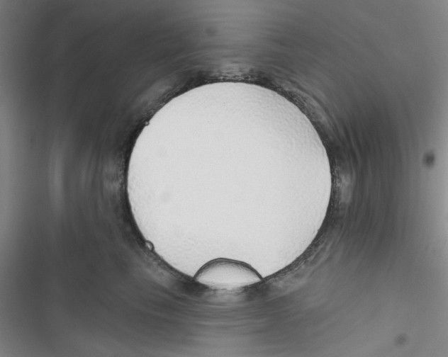 X0000116790665201001151103