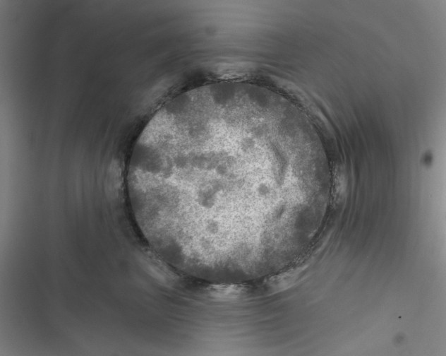 X0000116790667201001151103
