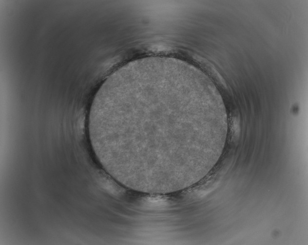 X0000116790668201001151103